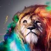 Antion Marketing Agency