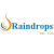 Raindrops Infotech