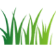 Artificial Turf & Design