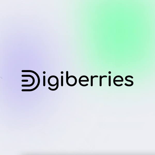 Digiberries - Agence de Référencement Web Paris