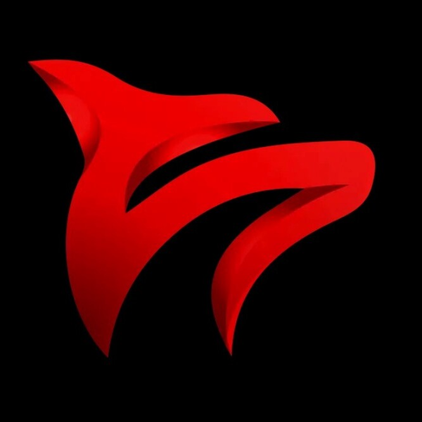WebWolfs - Custom Website Design Agency