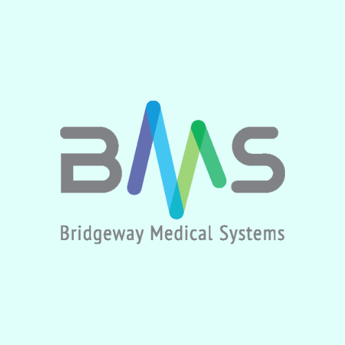 Bridgeway Medical Systems