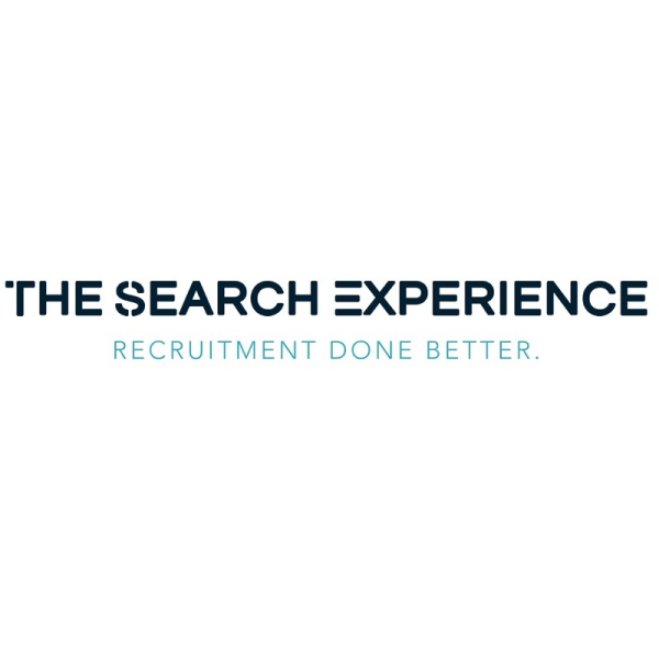 The Search Experience