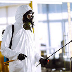 Mississauga Mold Removal