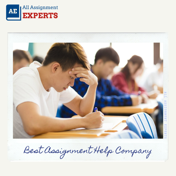 All Assignment Experts
