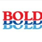 Boldt's Plumbing & Heating Inc