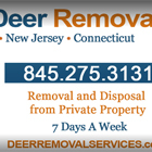 Dead Deer Removal