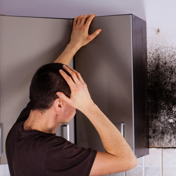 Mold Removal Must Be Done Correctly