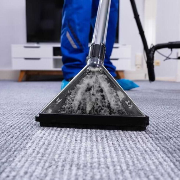 10 Questions To Ask A Carpet Cleaning Company