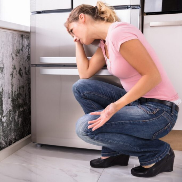Few Facts About Mold Removal