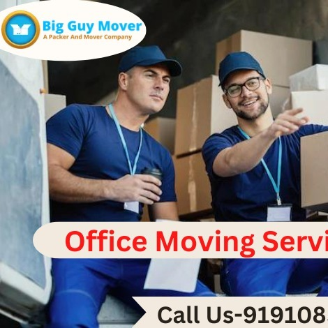 Big Guy Packers Movers