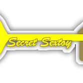 Secretsextoy