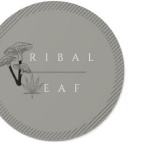 Tribal Leaf DC