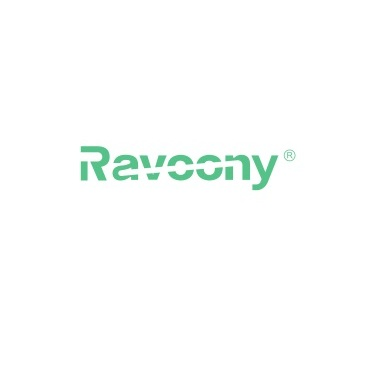High quality car film-ravoony