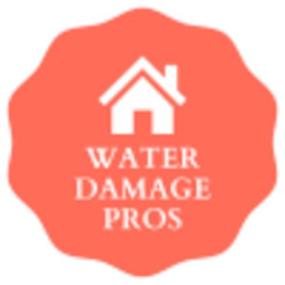 Mold Remediation