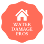 Mold Remediation - Startupxplore Mold Remediation