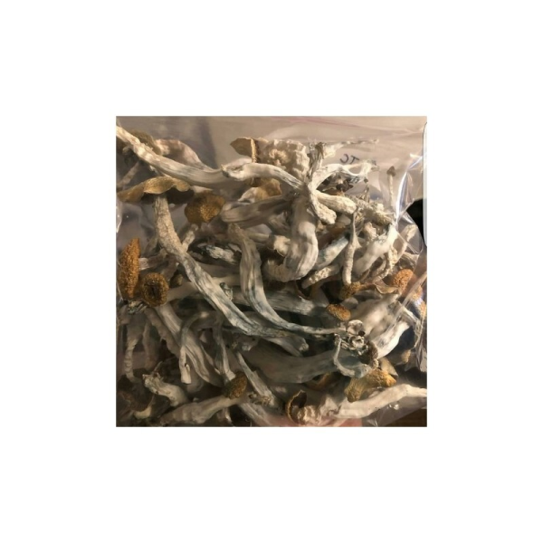 Psychedelics maniacs