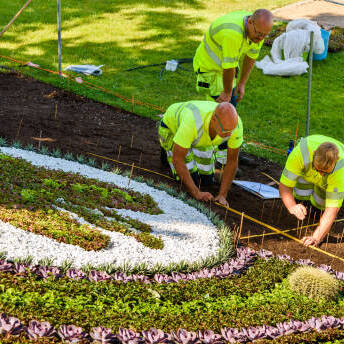 Arvada Landscaping Pros