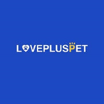 Best Dog Hip Brace For Sale | LOVEPLUSPET