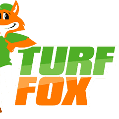 Turf Fox