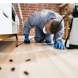 St. Albert Pest Control