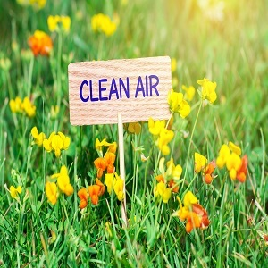 Black Mold Removal Services of Cleveland