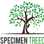 Specimen Treecare Ltd