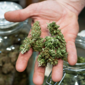 Online Dispensary Canada