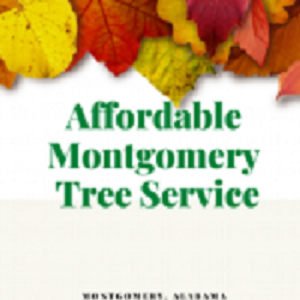Affordable Montgomery Tree Service