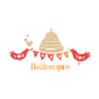 Balloonpro
