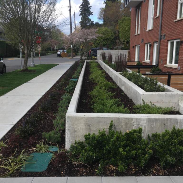Economy Landscaping Contractor Seattle