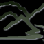 Canyon Real Estate LLC