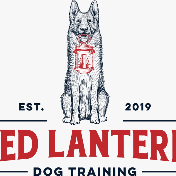 Red Lantern Dog Training