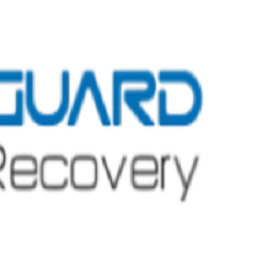 Lifeguard data recovery