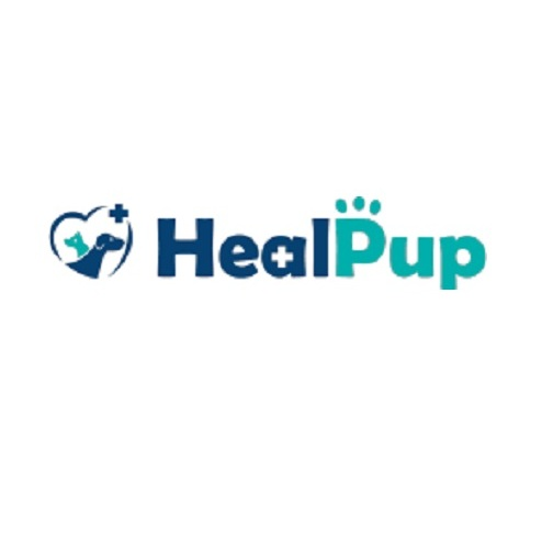 ACL brace for dogs, healpup knee brace for dogs