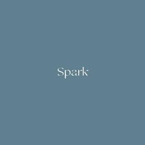 social media agency