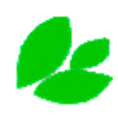 Petal Healthcare - Startupxplore Petal Healthcare