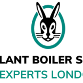Vaillant Boiler Service Experts London