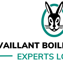Vaillant Boiler Service Experts London