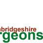 Tree Surgeons Cambridgeshire