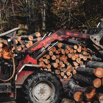 Tree Removal Companies