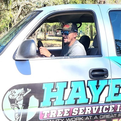 Hayes Tree Service Inc