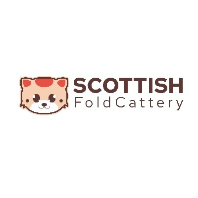Scottish Fold Cattery