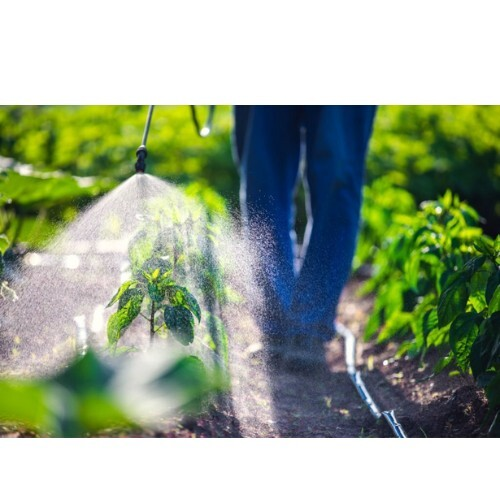 Pest Control Companies