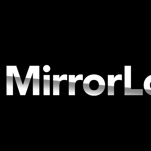 MirrorLot & CanvasLot In Austin TX