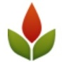 Phoenix SEO Company, LHI SEO Agency