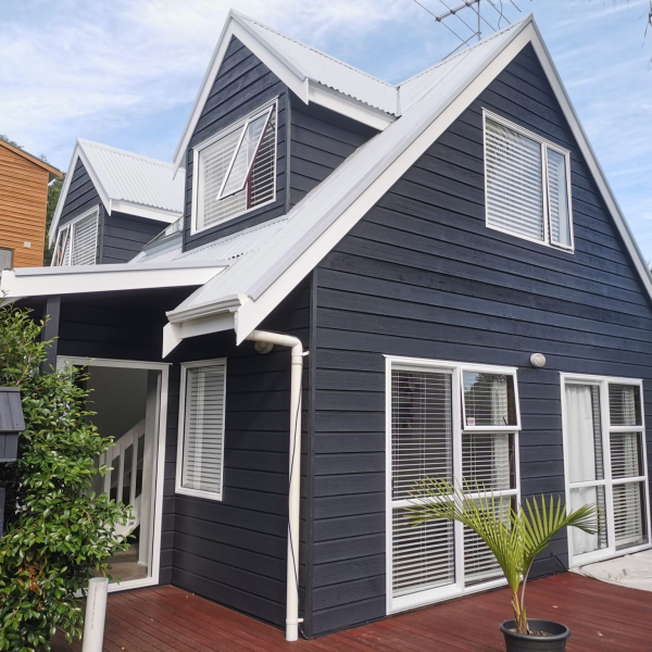 The Auckland Pro Painters - Auckland House Painters