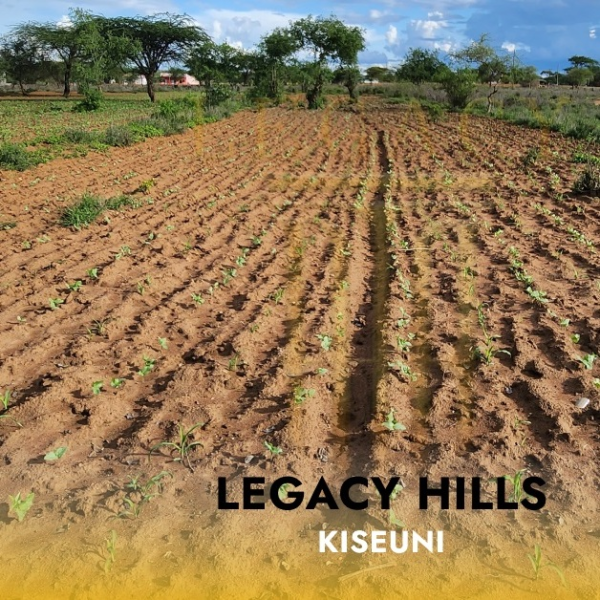 legacyestates - Legacy Hills Estate – Matuu