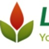 LinkHelpers Phoenix Digital Marketing