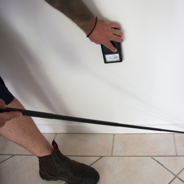 Wonderland Termite Removal Experts